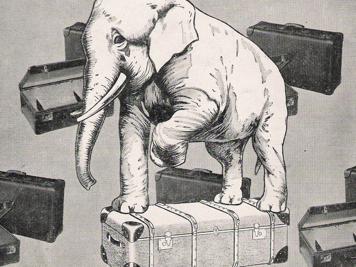 About_page_1912_V2_image_5869c57f-4b5f-430c-ad3f-e01987fb926c